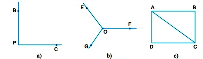 Bài 1 trang 88 Toán 6 tập 2 SGK Chân trời sáng tạo