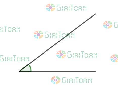 Bài 3 trang 88 Toán 6 tập 2 SGK Chân trời sáng tạo