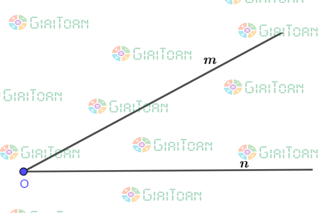 Thực hành 3 trang 86 Toán 6 tập 2 SGK Chân trời sáng tạo