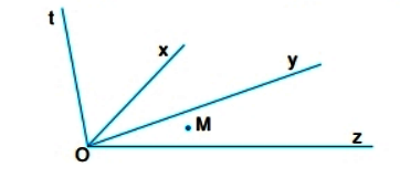 Thực hành 5 trang 87 Toán 6 tập 2 SGK Chân trời sáng tạo