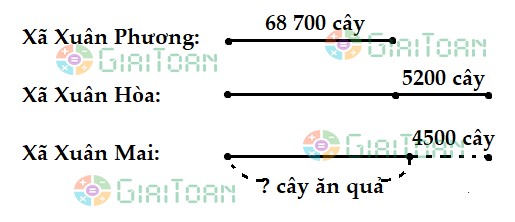 Bài 3 trang 160 Toán lớp 3