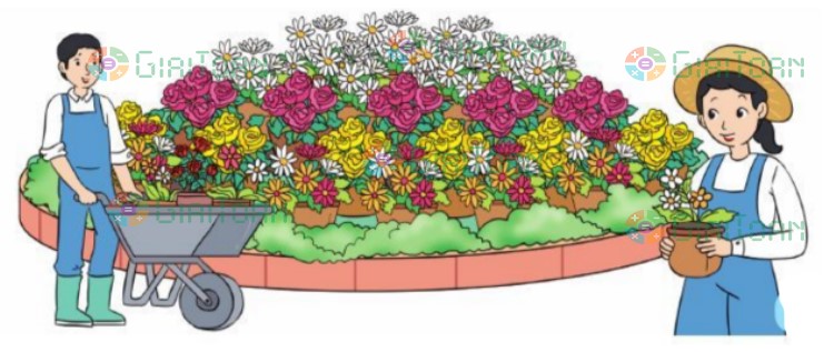 Bài 6 trang 69 Toán lớp 2 tập 2 SGK Cánh Diều