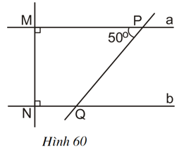 Bài 2 trang 91 SGK Toán 7 tập 2