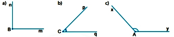 Hoạt động 2 trang 91 Toán 6 tập 2 SGK Chân trời sáng tạo