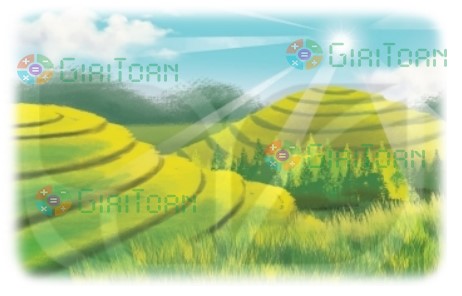 Hoạt động 4 trang 88 Toán lớp 2 tập 2 SGK Kết nối tri thức với cuộc sống