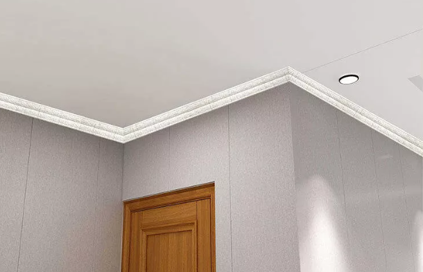 Bài 5 trang 98 Toán 6 tập 2 SGK Chân trời sáng tạo