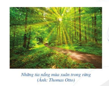 Bài toán mở đầu trang 90 Toán 6 tập 2 SGK Cánh Diều