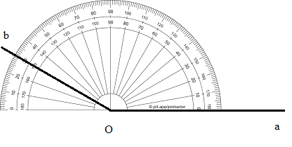 Bài 4 trang 101 Toán 6 tập 2 SGK Cánh Diều