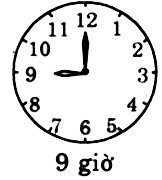 Bài 7 trang 101 Toán 6 tập 2 SGK Cánh Diều