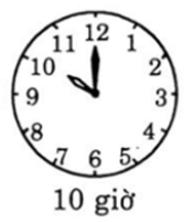 Bài 7 trang 101 Toán 6 tập 2 SGK Cánh Diều