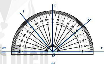 Hoạt động 6 trang 99 Toán 6 tập 2 SGK Cánh Diều