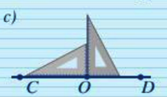 Luyện tập 5 trang 100 Toán 6 tập 2 SGK Cánh Diều