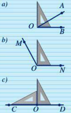 Luyện tập 5 trang 100 Toán 6 tập 2 SGK Cánh Diều