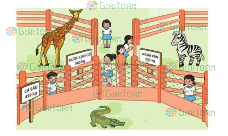 Bài 3 trang 88 Toán lớp 2 tập 2 SGK Cánh Diều