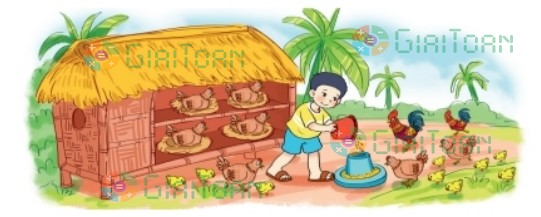 Hoạt động 2 trang 101 Toán lớp 2 tập 2 SGK Kết nối tri thức với cuộc sống