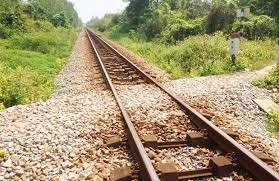 Bài 12 trang 103 Toán 6 tập 2 SGK Cánh Diều