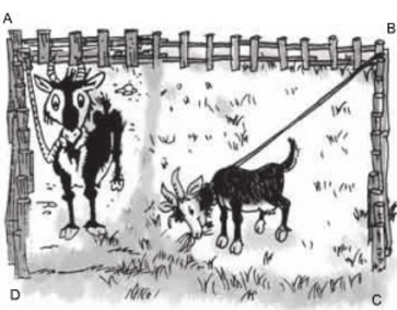 Bài 80 trang 98 SGK Toán 9 tập 2