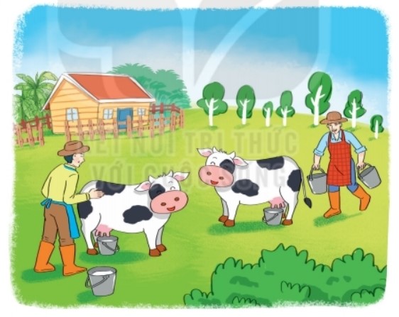 Bài 4 trang 116 Toán lớp 2 tập 2 SGK Kết nối tri thức với cuộc sống