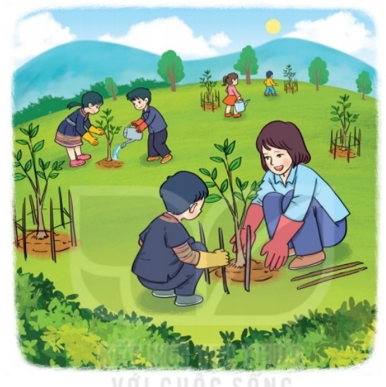 Bài 5 Toán lớp 2 trang 120 sách Kết nối tri thức với cuộc sống