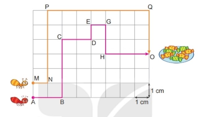 Bài 4 Toán lớp 2 trang 130 sách Kết nối tri thức với cuộc sống