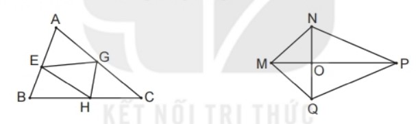 Bài 5 Toán lớp 2 trang 128 sách Kết nối tri thức với cuộc sống