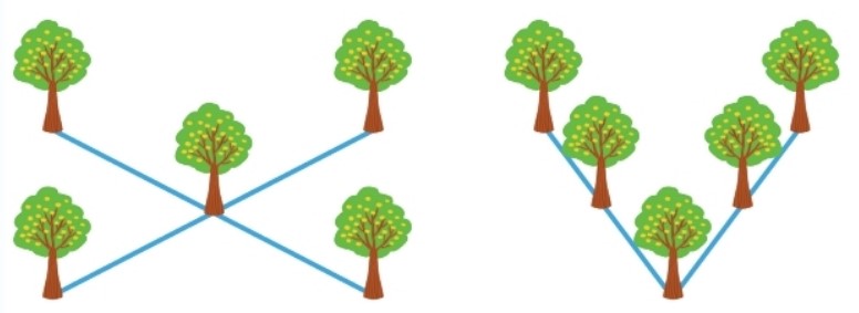 Bài 5 Toán lớp 2 trang 128 sách Kết nối tri thức với cuộc sống