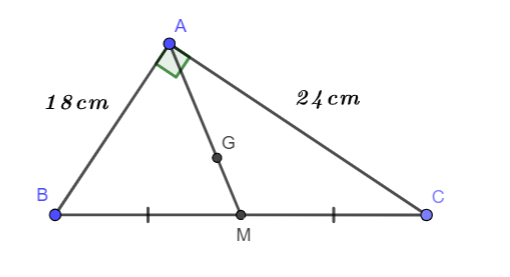 Cho tam giác ABC vuông tại A, AB = 18cm, AC = 24cm a) Tính BC