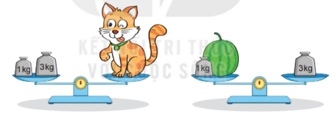 Bài 2 Toán lớp 2 trang 131 sách Kết nối tri thức với cuộc sống