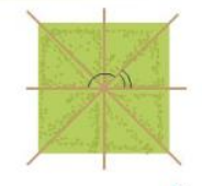 Hoạt động 1 trang 41 Toán 7 tập 1 SGK Kết nối tri thức với cuộc sống