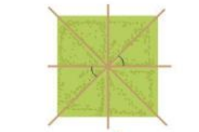 Hoạt động 3 trang 42 Toán 7 tập 1 SGK Kết nối tri thức với cuộc sống