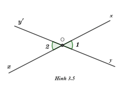 Hoạt động 4 trang 42 Toán 7 tập 1 SGK Kết nối tri thức với cuộc sống