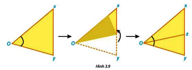 Hoạt động 5 trang 43 Toán 7 tập 1 SGK Kết nối tri thức với cuộc sống