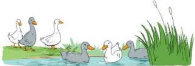 Bài 2 Toán lớp 3 trang 13 sách Kết nối tri thức