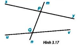 Câu hỏi trang 46 Toán 7 tập 1 SGK Kết nối tri thức với cuộc sống