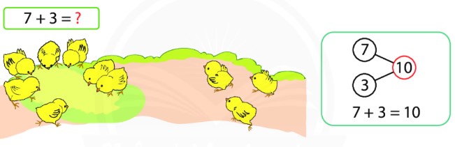 Bài 1 Toán lớp 1 trang 56 sách Chân trời sáng tạo