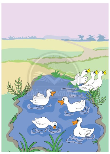 Bài 8 Toán lớp 1 trang 67 sách Chân trời sáng tạo