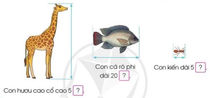 Bài 3 Toán lớp 3 trang 13 sách Cánh Diều