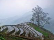 Hoạt động 3 trang 12 Toán 7 tập 1 SGK Chân trời sáng tạo