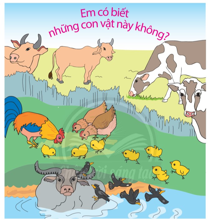 Bài 2 Toán lớp 1 trang 75 sách Chân trời sáng tạo