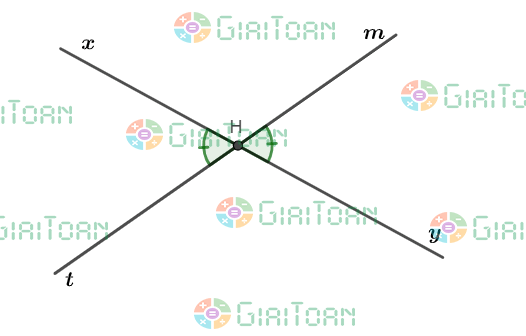 Luyện tập 1 trang 56 Toán 7 tập 1 SGK Kết nối tri thức với cuộc sống