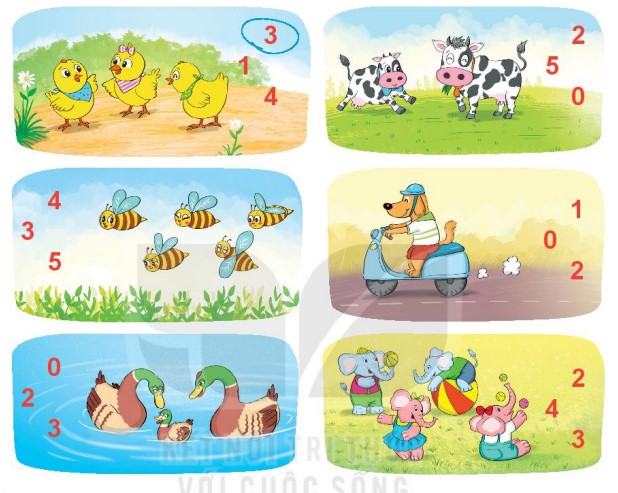 Bài 1 Toán lớp 1 trang 12 sách Kết nối tri thức