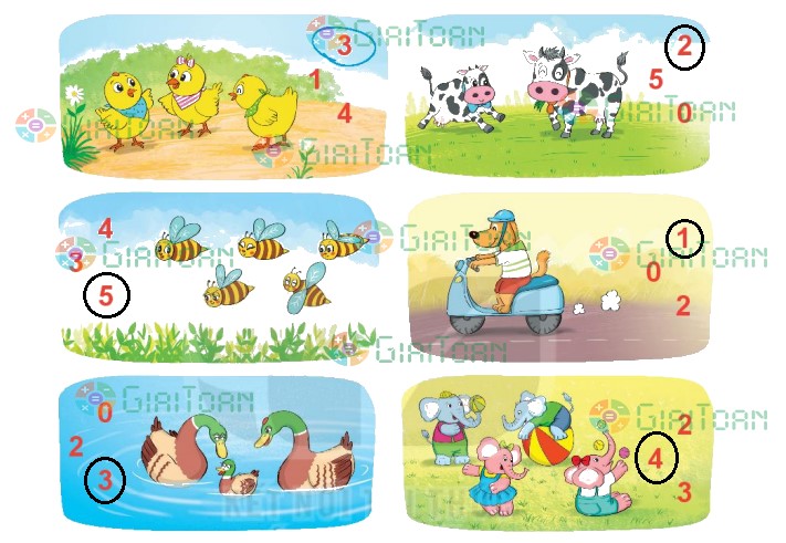 Bài 1 Toán lớp 1 trang 12 sách Kết nối tri thức