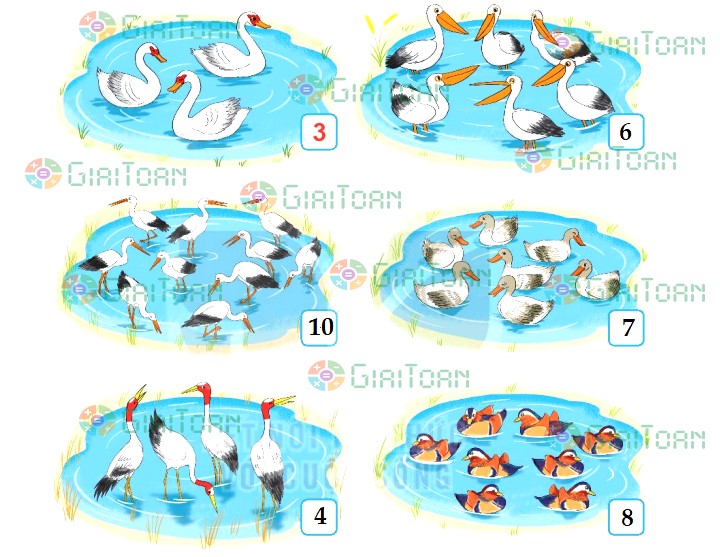 Bài 1 Toán lớp 1 trang 16 sách Kết nối tri thức