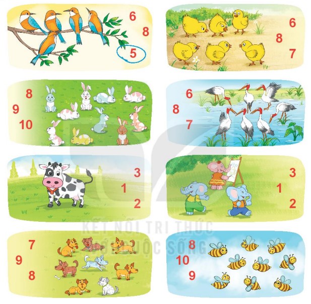 Bài 1 Toán lớp 1 trang 18 sách Kết nối tri thức