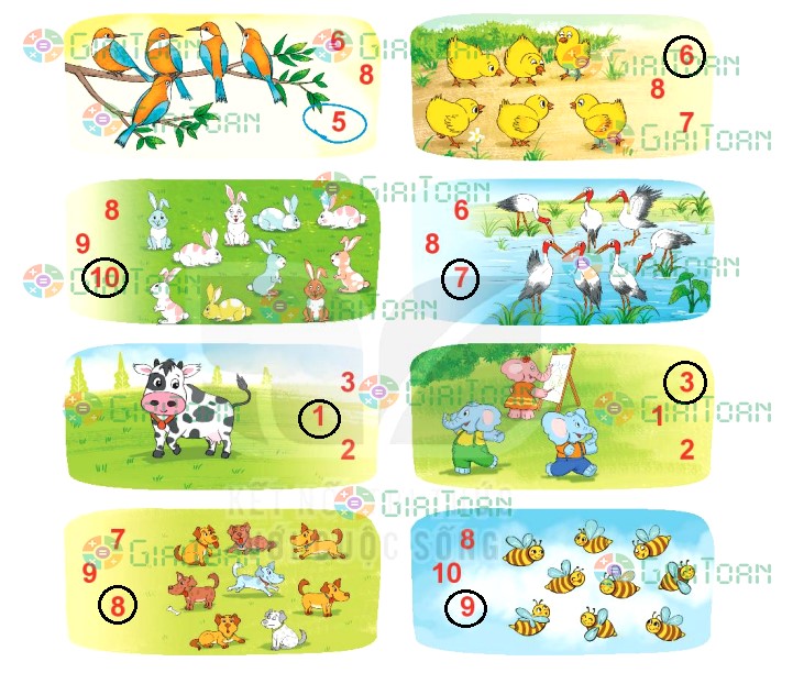 Bài 1 Toán lớp 1 trang 18 sách Kết nối tri thức