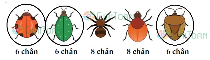 Bài 3 Toán lớp 1 trang 17 sách Kết nối tri thức