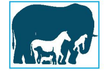 Hoạt động 1 trang 6 Toán 10 tập 1 SGK Kết nối tri thức với cuộc sống