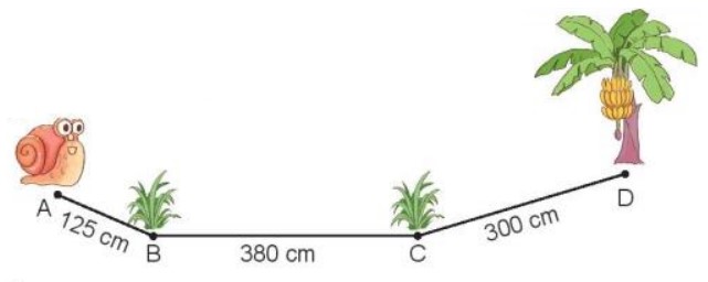 Bài 3 Toán lớp 3 trang 22 sách Kết nối tri thức