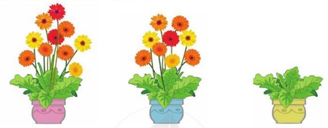 Bài 1 Toán lớp 1 trang 20 sách Cánh Diều