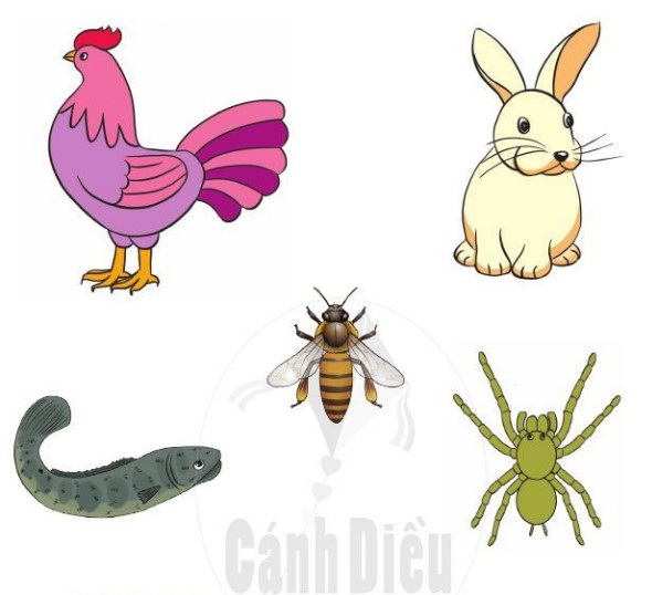 Bài 4 Toán lớp 1 trang 21 sách Cánh Diều